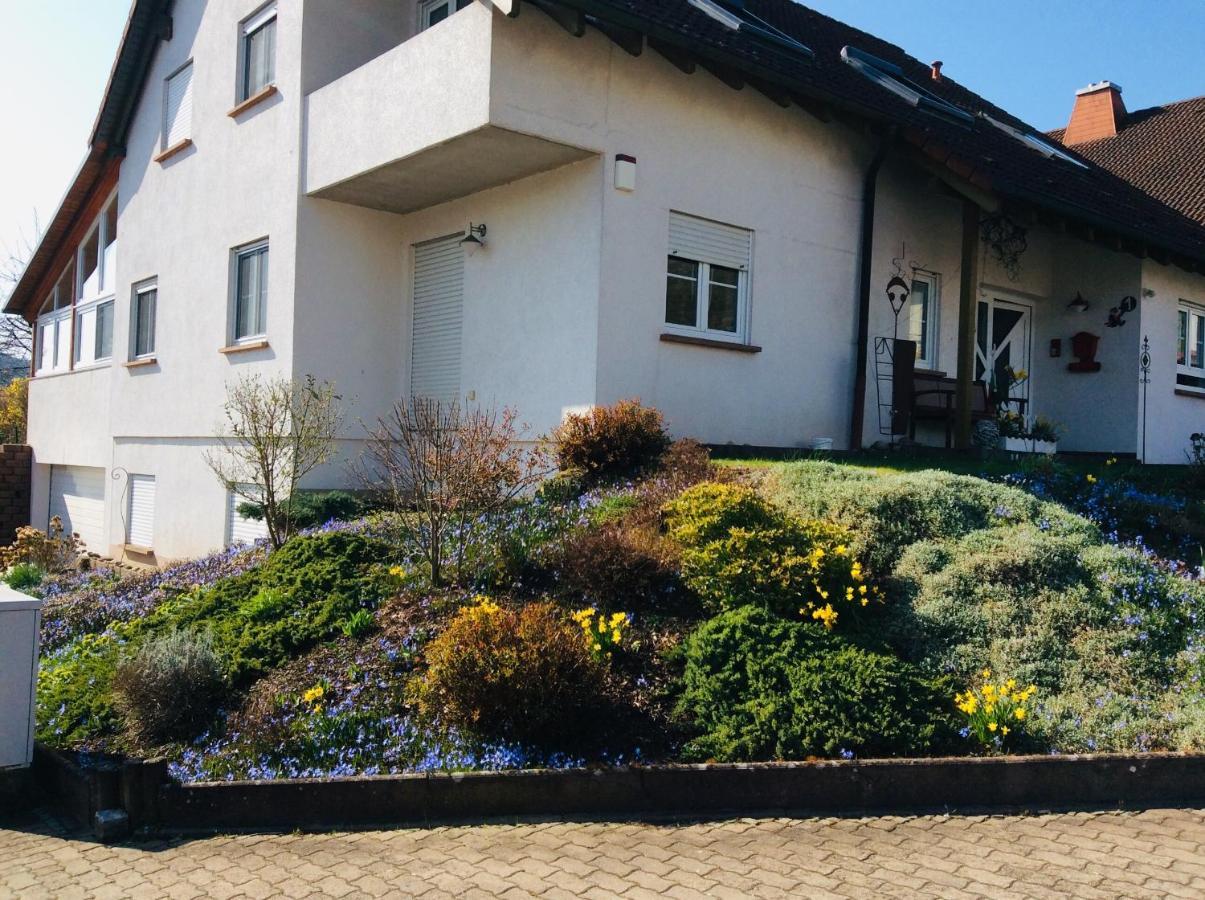 Fernblick Apartment *