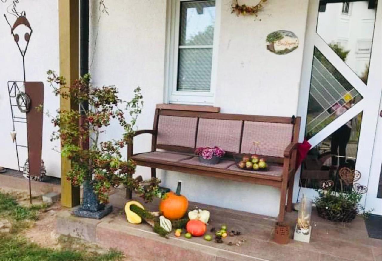 Fernblick Apartment *